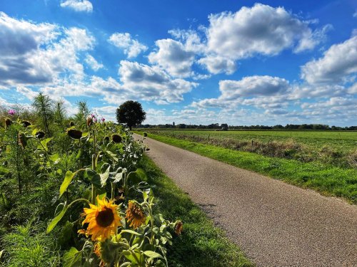Photo post from visitoirschot.