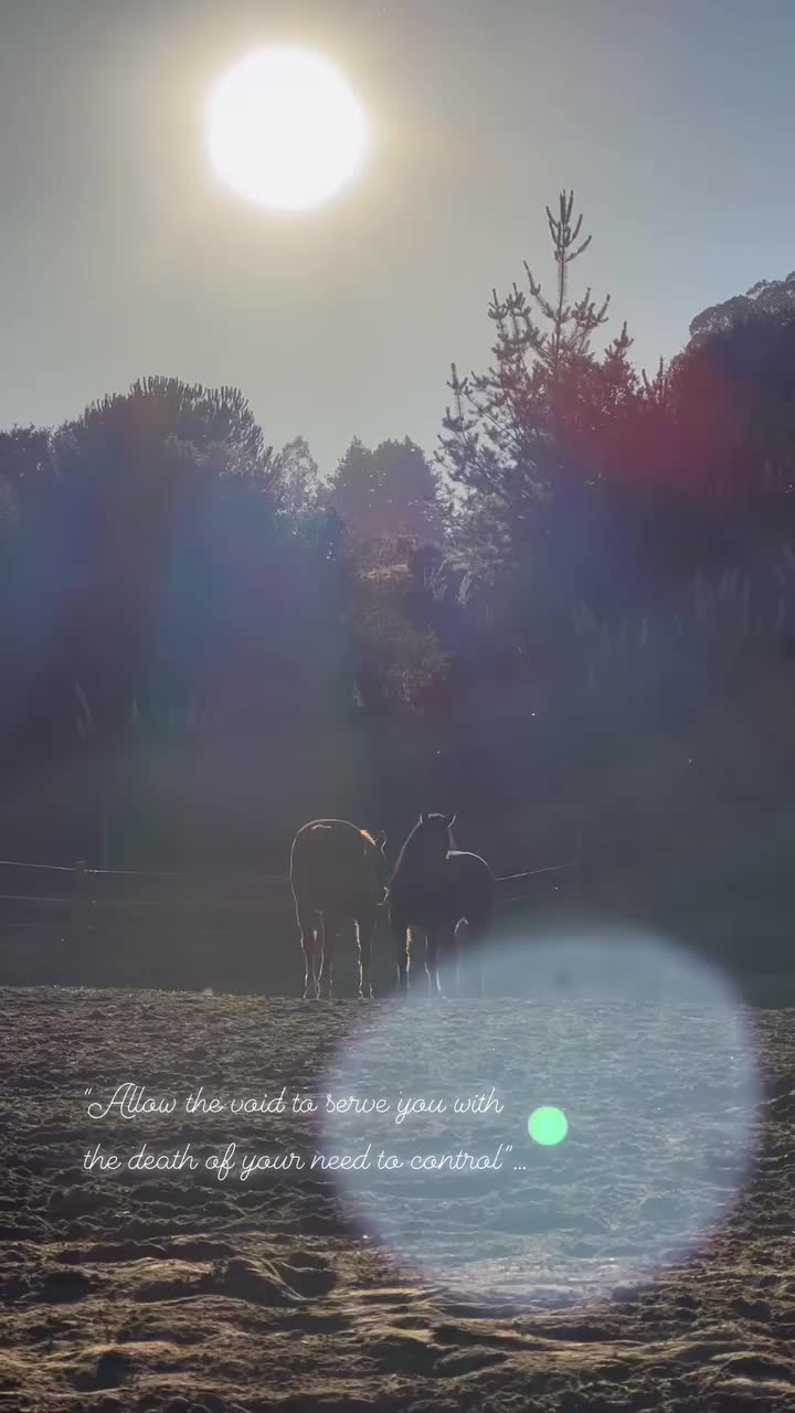 Video post from __amber_lydic__.