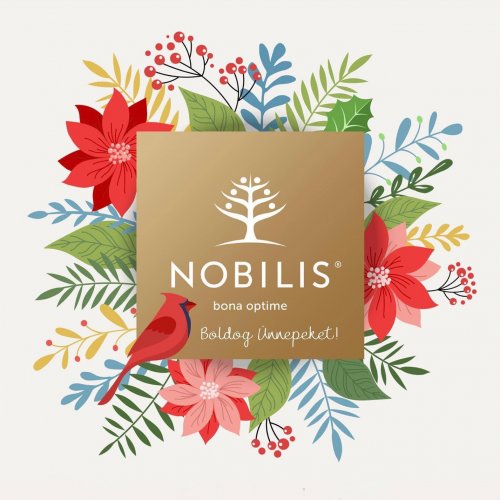 Photo post from nobilis_official.