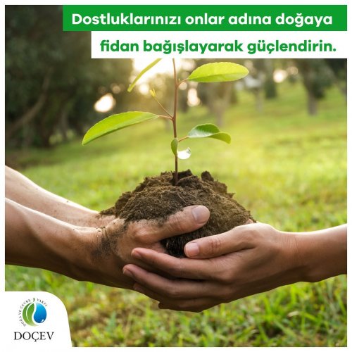 Photo post from dogavecevrevakfi.
