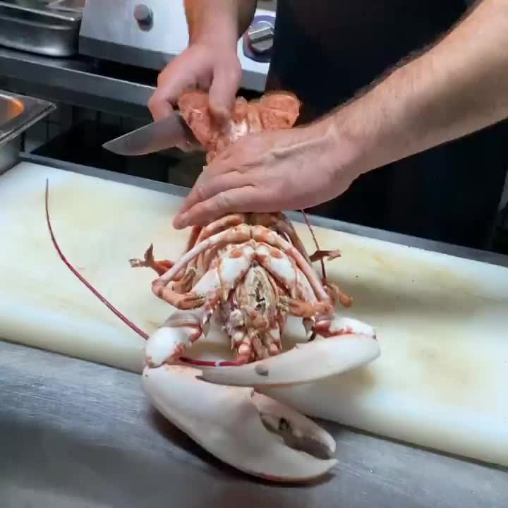 Video post from jandewit.4848.