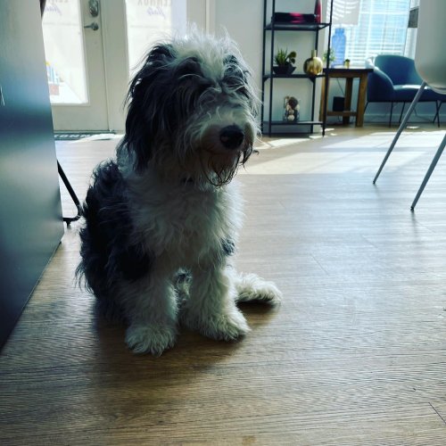 Photo post from lennoxflatscolumbus.