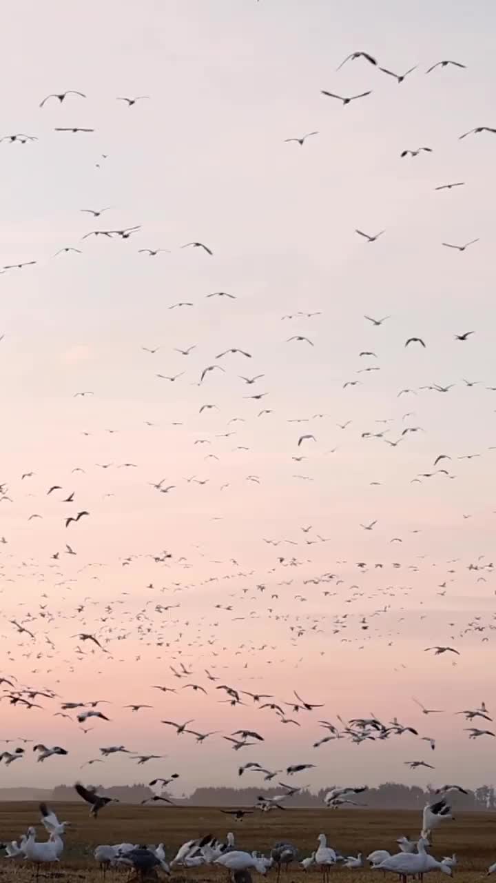 Video post from northernskiesoutfitters.