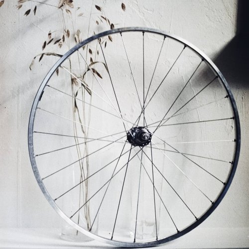 Photo post from slowspinsociety.