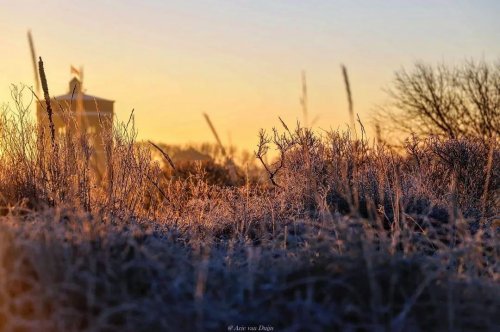 Photo post from ditiskatwijk.