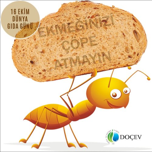 Photo post from dogavecevrevakfi.