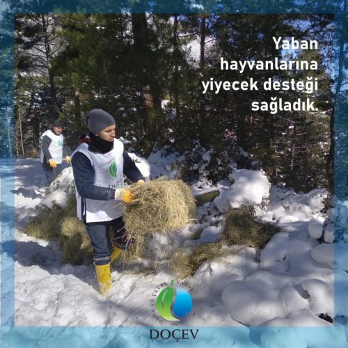 Photo post from dogavecevrevakfi.