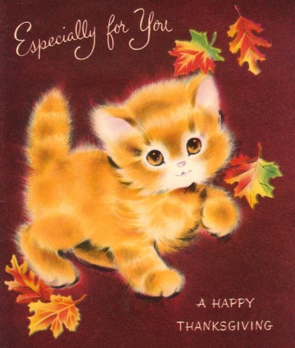 Photo post from margaritabloom.