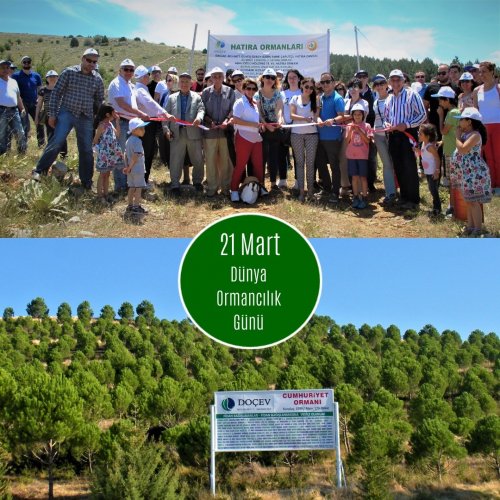 Photo post from dogavecevrevakfi.