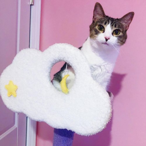 Photo post from margaritabloom.