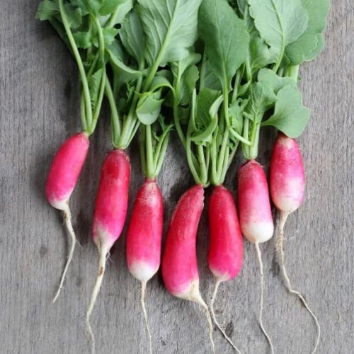 Carousel post from farmbox_arizona.