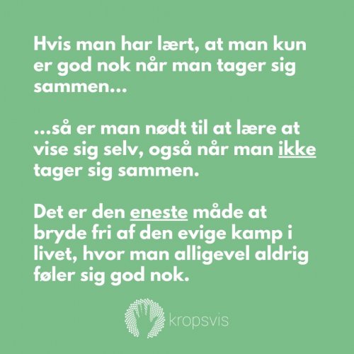 Photo post from kropsvis.