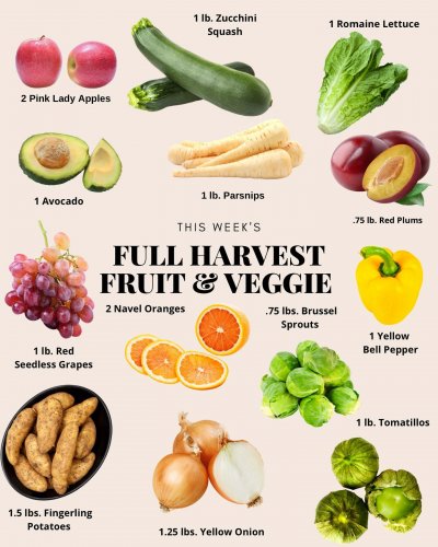 Photo post from farmbox_arizona.