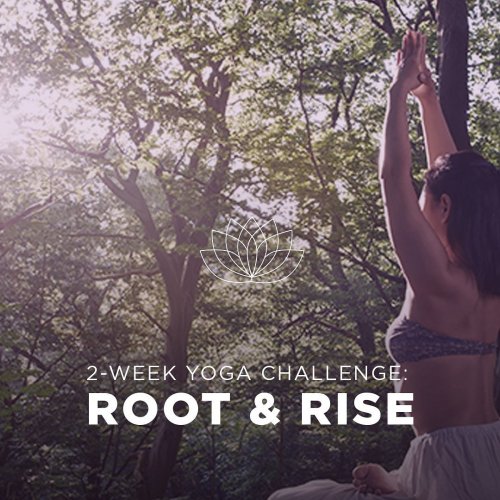 Carousel post from yogadownload.