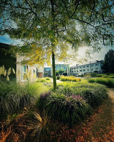 Photo post from visitoirschot.