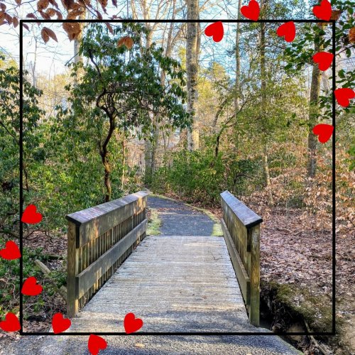 Photo post from theheartofnc.