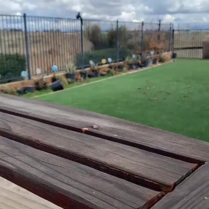 Video post from muddywaterscoffeecompany.