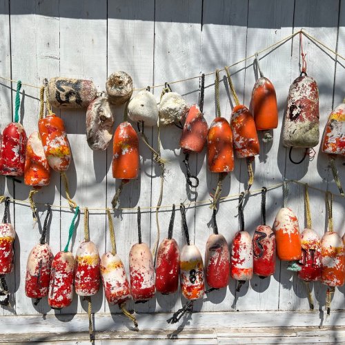 Photo post from freyaetthor.