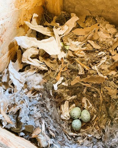 Carousel post from whg_riesa.