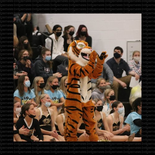 Photo post from bvtigernews.