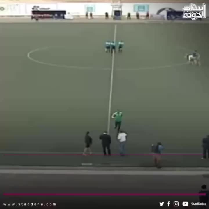 Video post from staddoha.