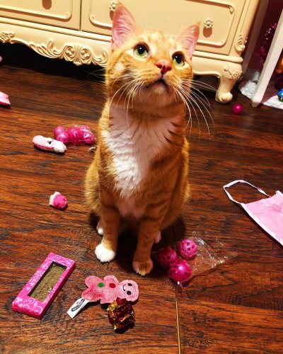 Carousel post from margaritabloom.