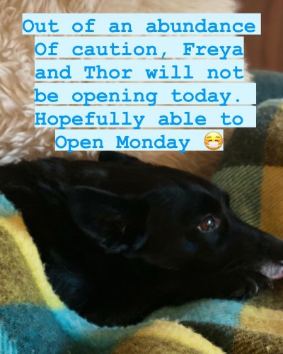 Photo post from freyaetthor.