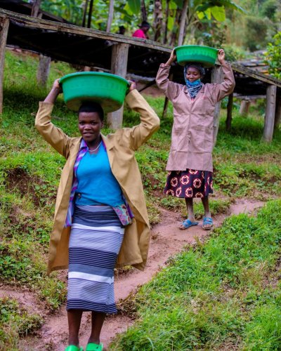 Carousel post from equianocoffee.