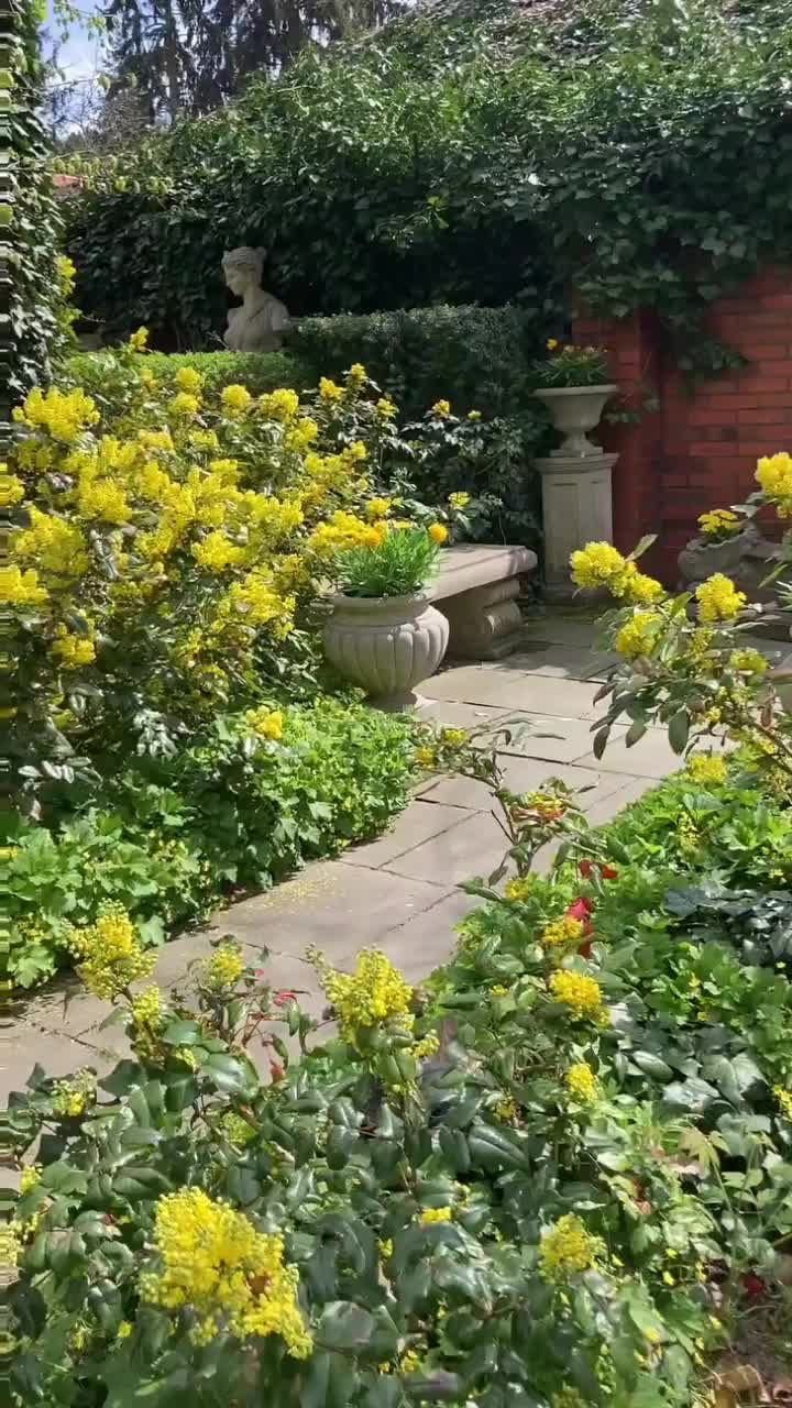Video post from chronos_collection.