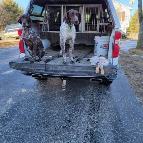 Photo post from reddogguideservice.