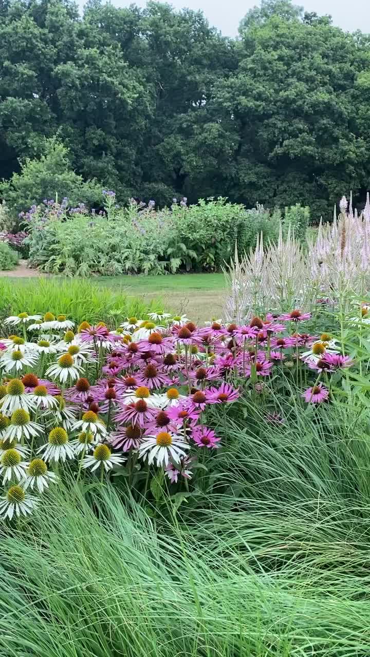 Video post from sussexprairies.