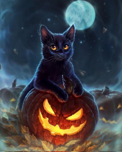 Photo post from margaritabloom.