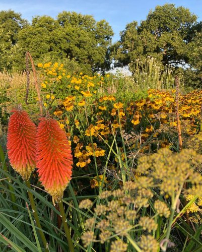 Photo post from sussexprairies.