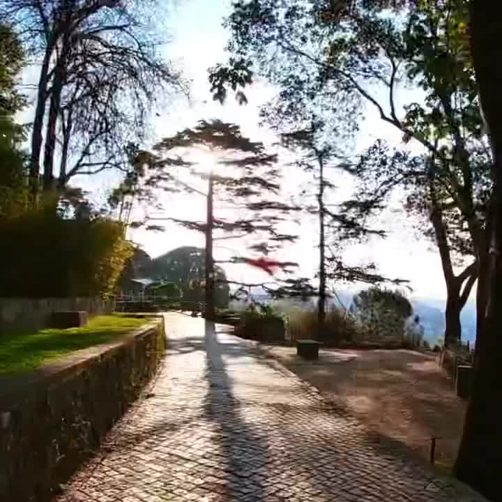 Carousel post from portorunningtours.