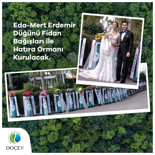 Photo post from dogavecevrevakfi.