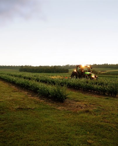 Carousel post from comvita_au.