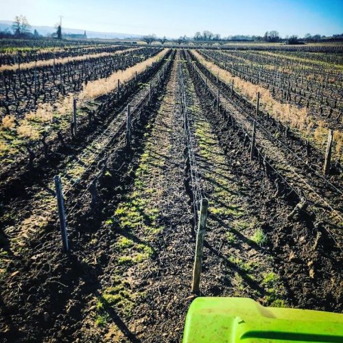 Photo post from domainelafamillek.