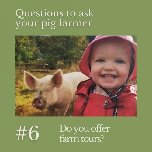 Carousel post from hungryhollowfarm.