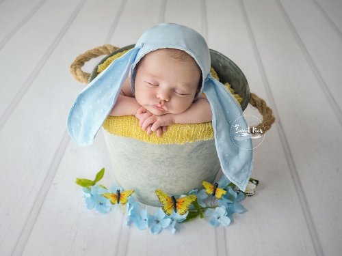 Photo post from babybonnet_backdrops.