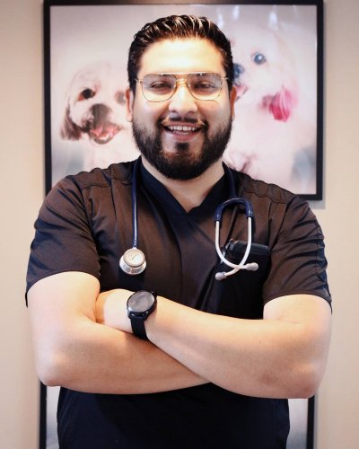 Photo post from medicalpettj.