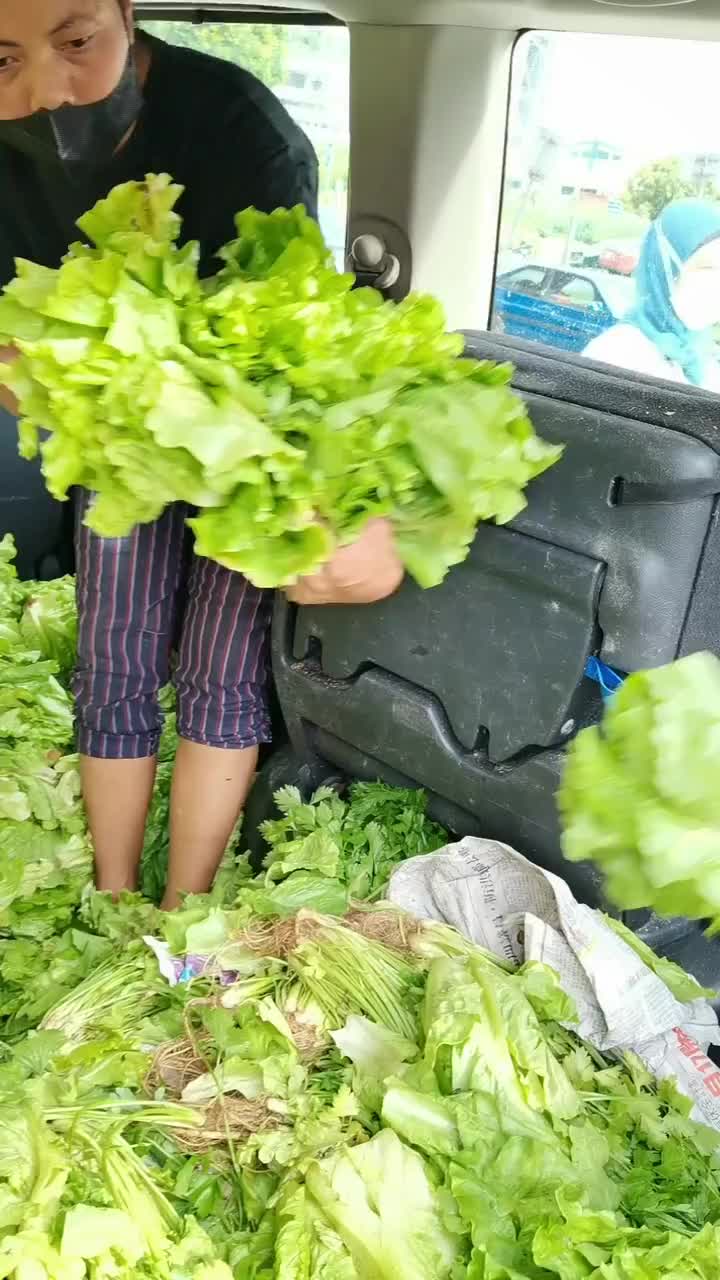 Video post from assemblysoupkitchen.