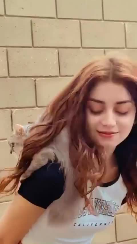 Video post from alizehshahofficial.