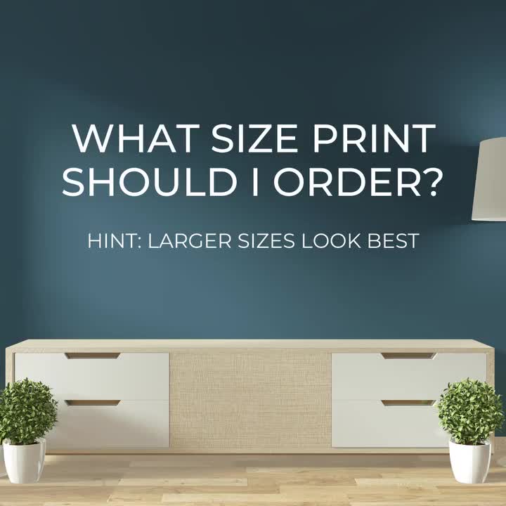 Video post from cardinalcamera1937.