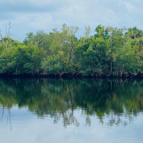 Carousel post from freyaetthor.