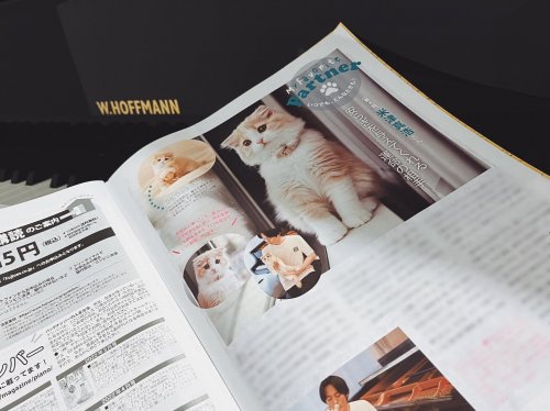 Carousel post from cat.onigiri.