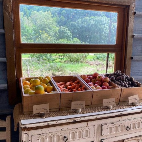 Photo post from currumbinvalleyharvest.