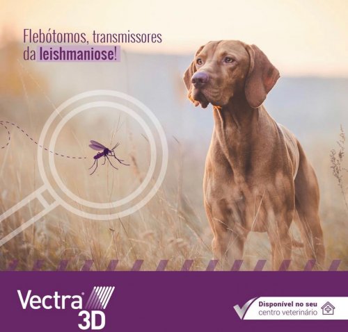 Photo post from clinica_veterinaria_dourosul.