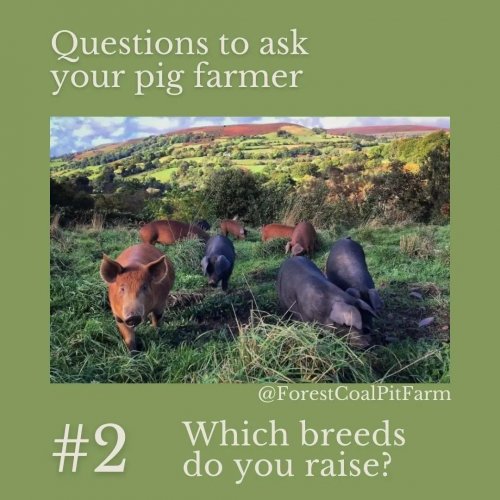 Carousel post from hungryhollowfarm.