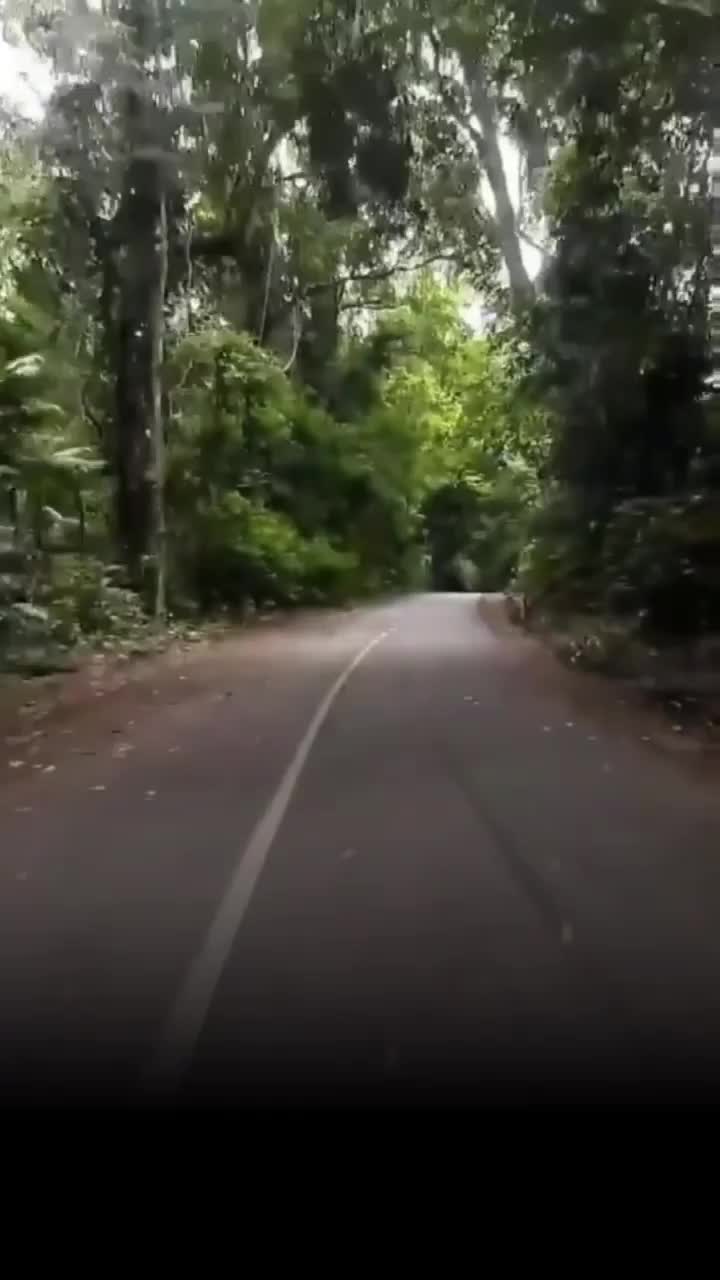 Video post from riverexpress_sc.