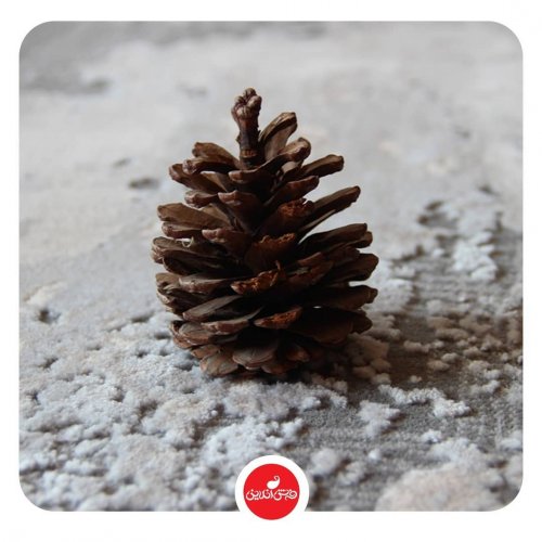 Photo post from farshonline_com.